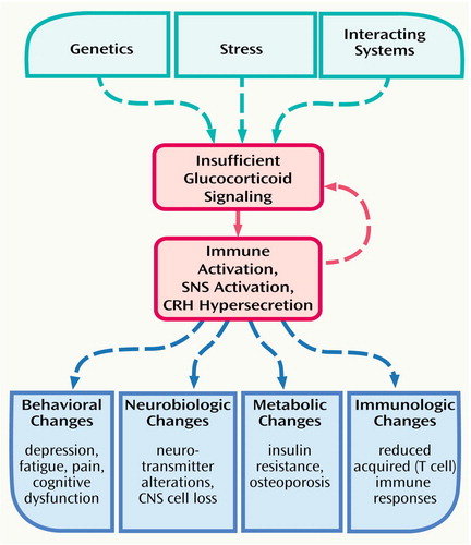 When Not Enough Is Too Much: The Role of Insufficient Glucocorticoid  Signaling in the Pathophysiology of Stress-Related Disorders | American  Journal of Psychiatry